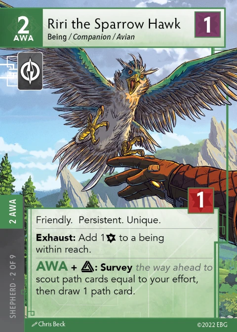 Riri the Sparrow Hawk